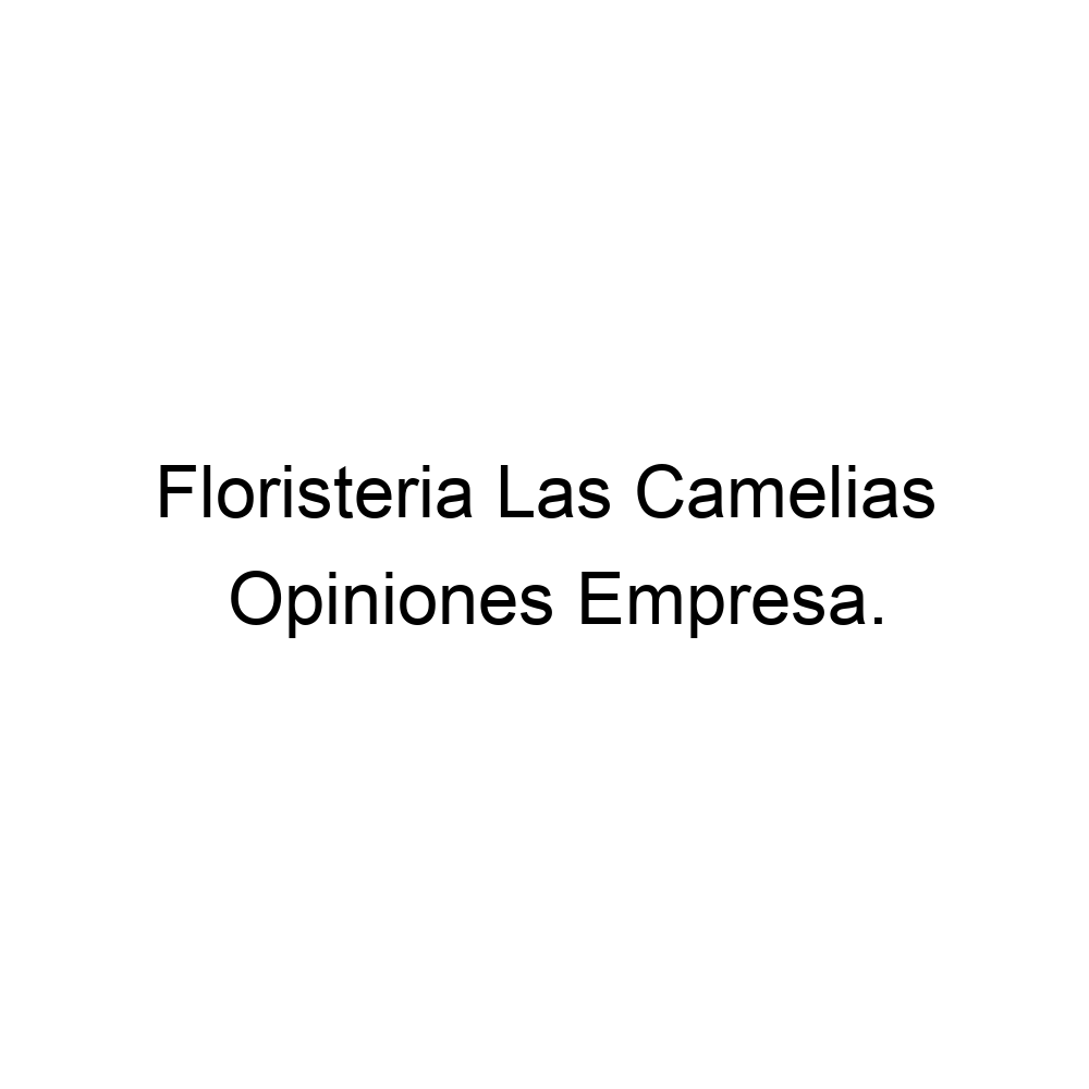 Opiniones Floristeria Las Camelias, Daimiel ▷ 926852657